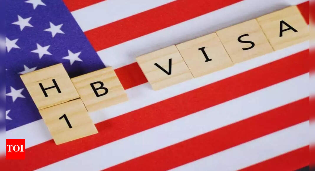 You-dont-live-here-Google-engineer-shares-H-1B-woes-says.jpg