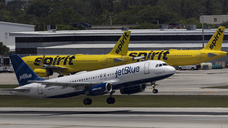 A JetBlue Airlines plane takes off near Spirit Airlines planes at the Fort Lauderdale-Hollywood International Airport on May 16, 2022 in Fort Lauderdale, Florida.