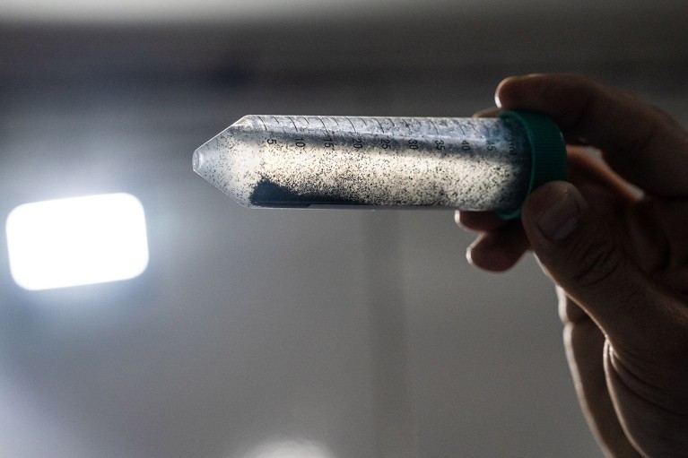 Close up view of a hand holding a vial of mosquito eggs to the light.