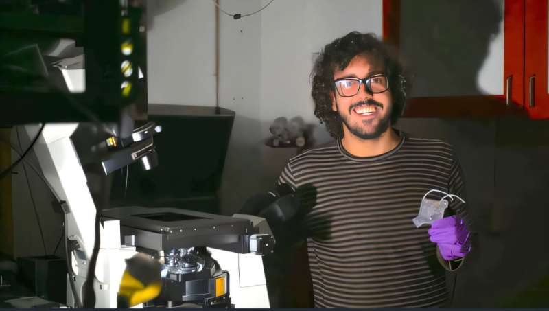 Credit: Matheus Azevedo Silva Pessôa McGill physicists manoeuvre DNA molecules using electrical fields