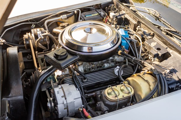 1981 Chevrolet Corvette